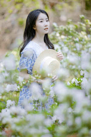 四虎影最新地址在哪里