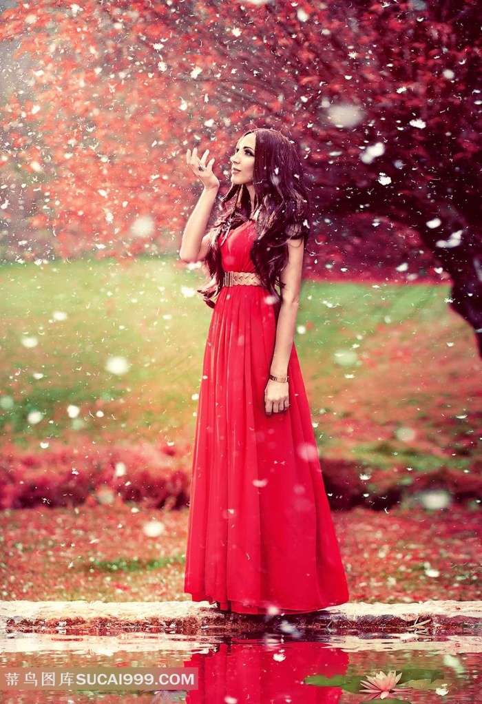 欧美人与禽交片mp4